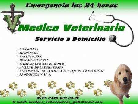 Nuestros servicios
