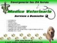 Nuestros servicios